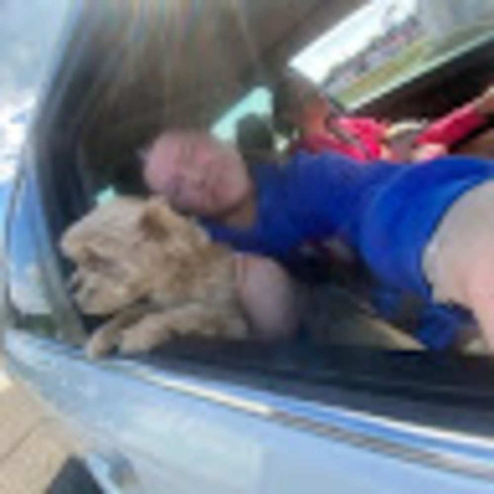 Meet your Posher, Addison